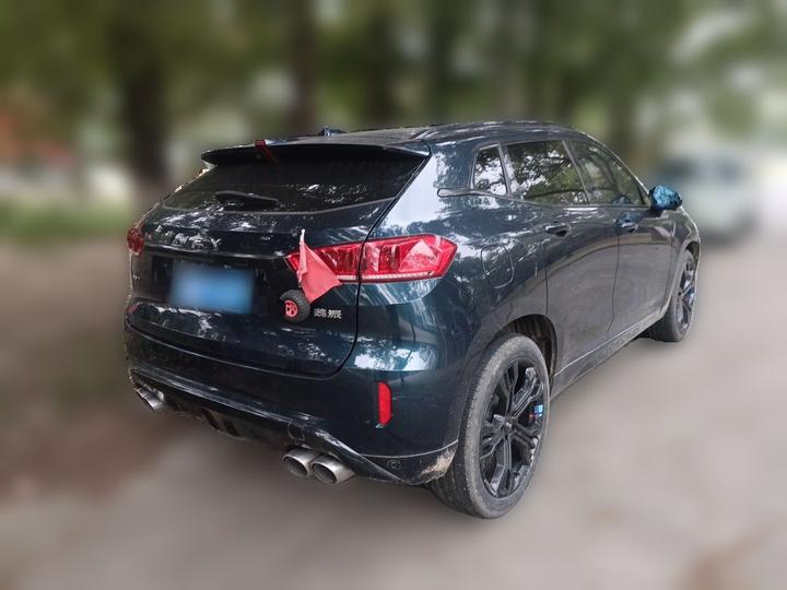 VV7 2019 Upgraded 2.0T Flagship China VI photo 6