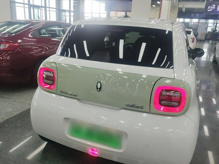 2022 Facelift 301km LFP photo 3