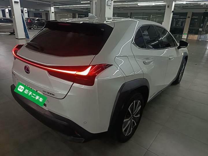 UX EV 2020 300e photo 4
