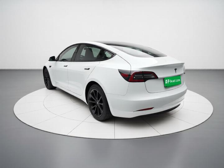 Model 3 2021 Facelift Standard Range RWD Upgraded 3D1 photo 4