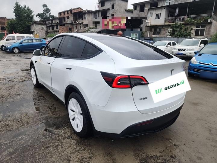 Model Y 2024 RWD photo 4