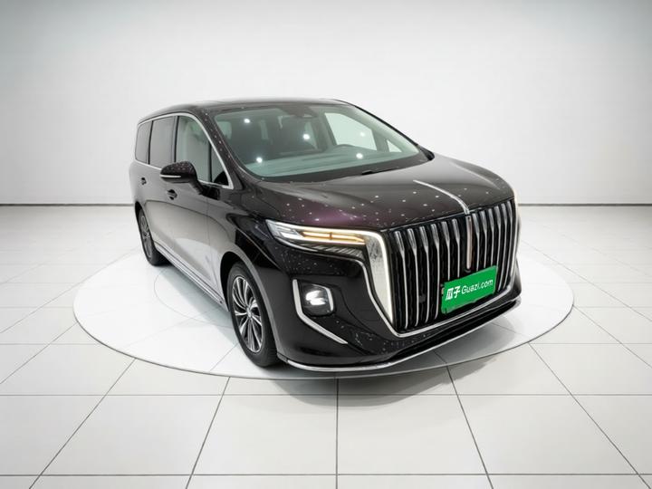 HQ9 PHEV 2024 2.0T AWD Luxury photo 3