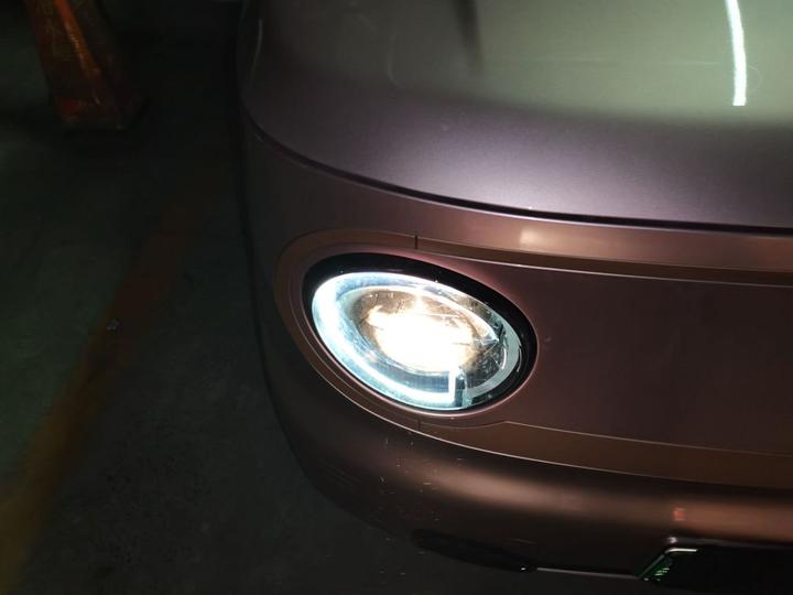 2023 Panda mini 200km Endurance Bear photo 7