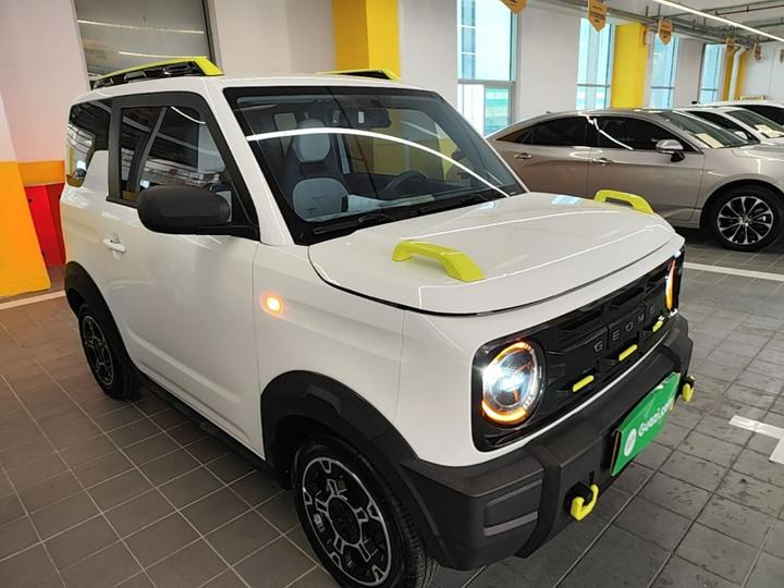 2025 210km Panda photo 3