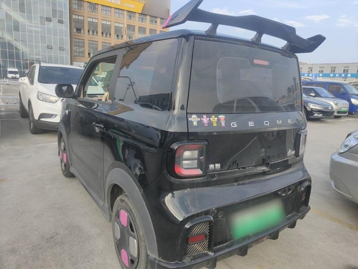 2024 200km Panda photo 4