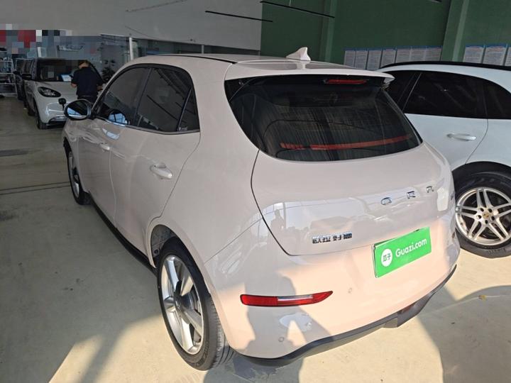 Good Cat 2023 401km Standard Range Luxury LFP photo 4