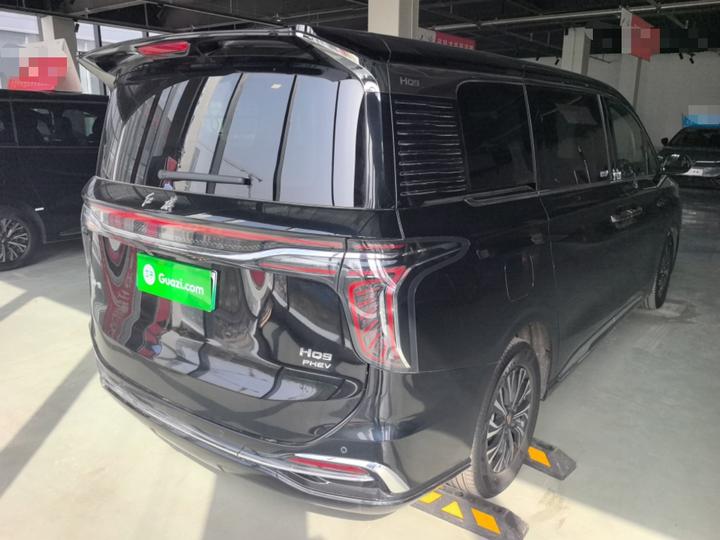 HQ9 PHEV 2024 2.0T AWD Business photo 4