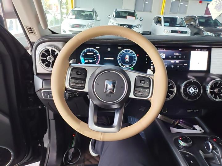 300 2021 Off-road 2.0T Conqueror photo 6
