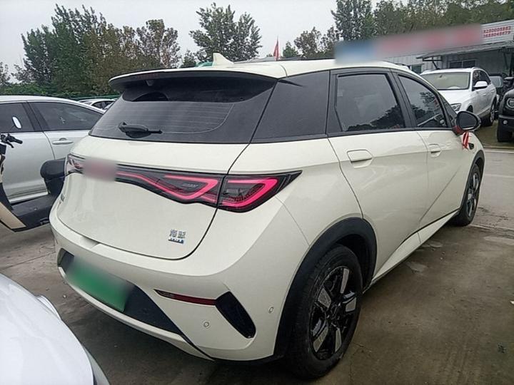 Dolphin 2025 ADAS 410km Fashion photo 4