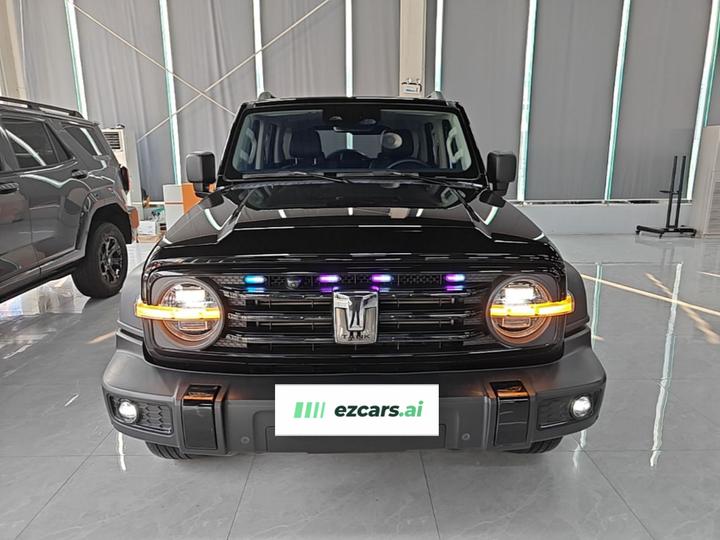 300 2023 Off-road 2.0T Conqueror photo 2