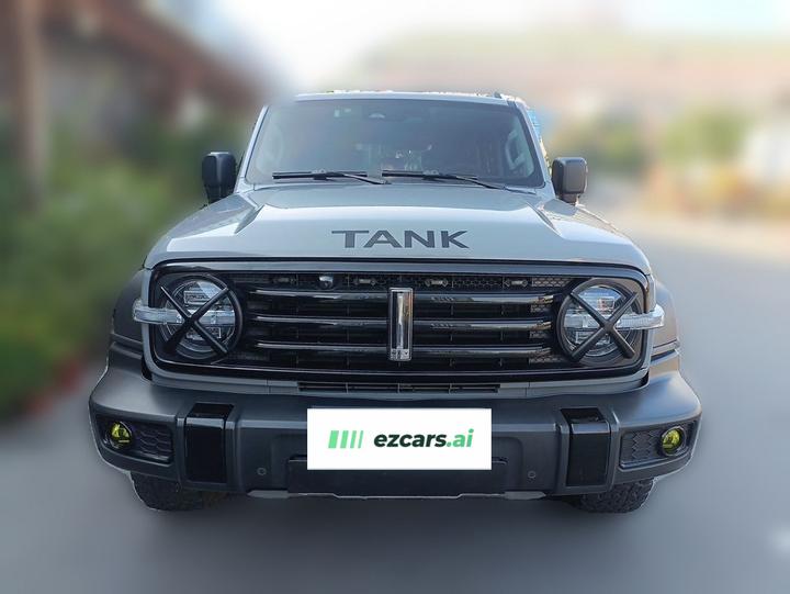 300 2021 Off-road 2.0T photo 2