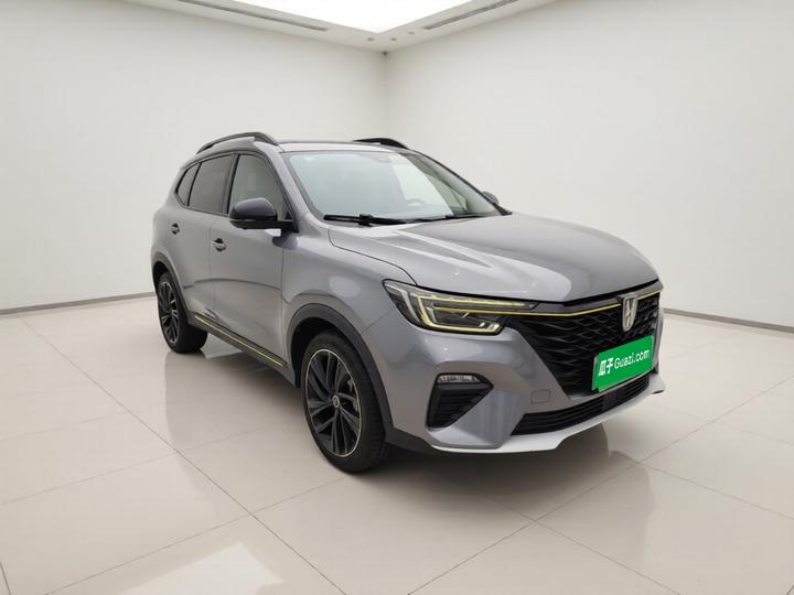 RX5 EV 2020 ePLUS Luxury photo 2