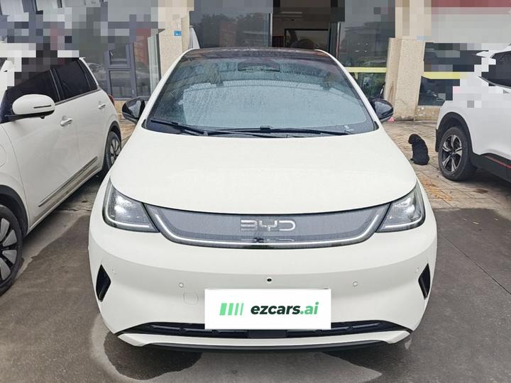 Dolphin 2025 ADAS 410km Fashion photo 2