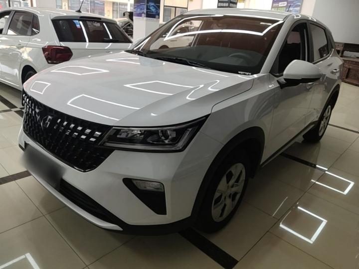 Wuling 2022 1.5L MT