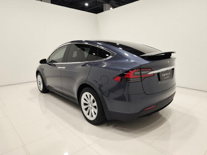 Model X 2019 Long Range photo 4