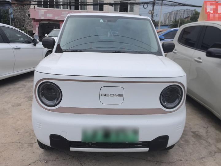 2023 Panda mini 200km Endurance Bear photo 2