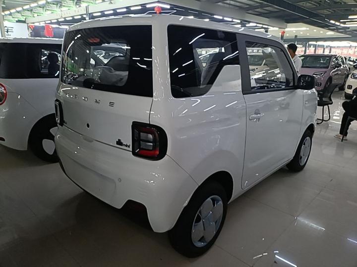 2024 Panda mini 200km Endurance Bear photo 6