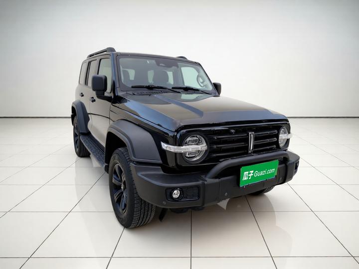 300 2021 Off-road 2.0T Conqueror photo 3