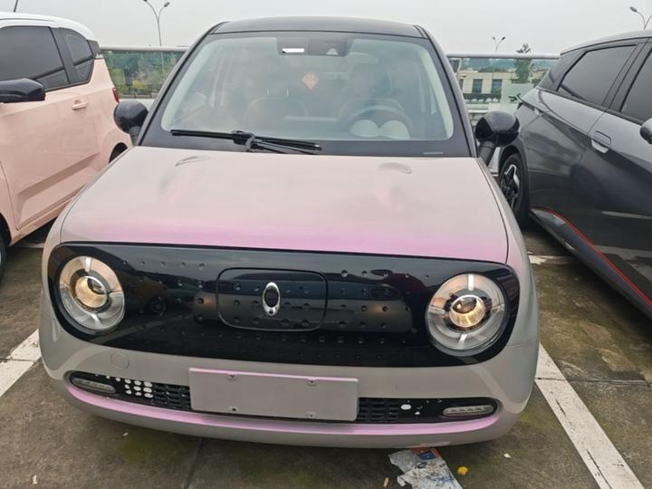 2019 351km photo 2