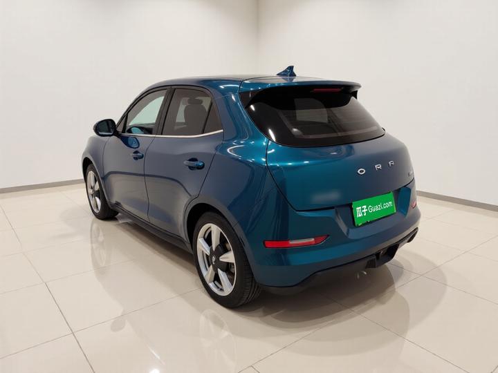 Good Cat 2023 401km Standard Range LFP photo 4