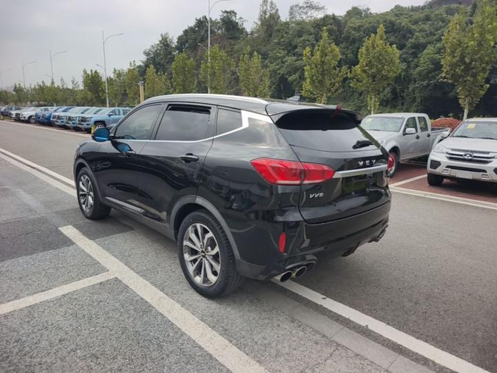 VV6 2018 2.0T RWD China V photo 4