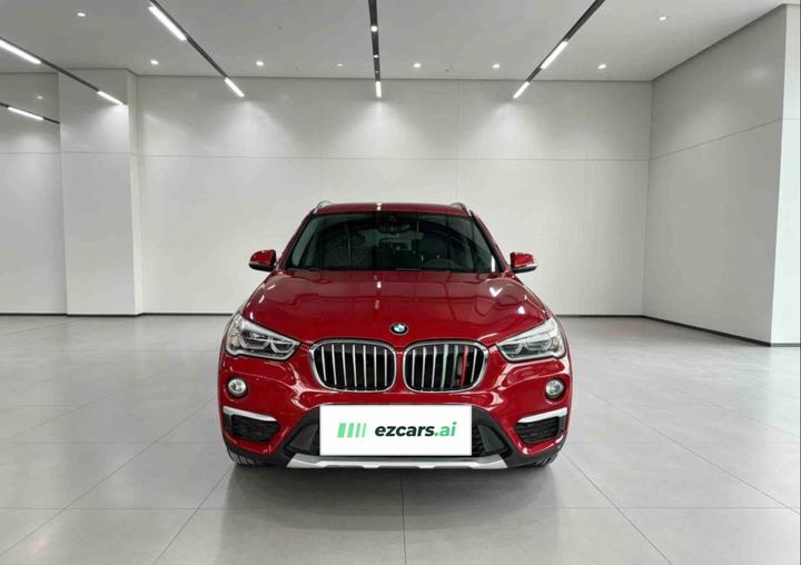 X1 2016 sDrive20Li Luxury photo 2