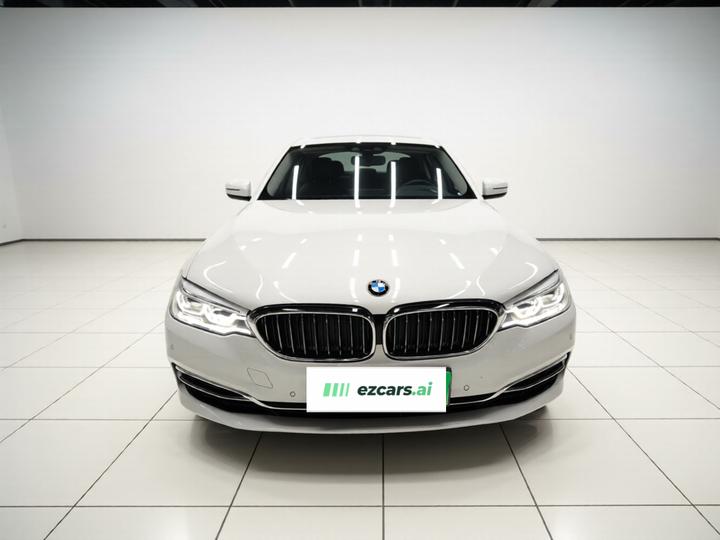 5 Series EV 2019 Facelift 530Le Luxury photo 2