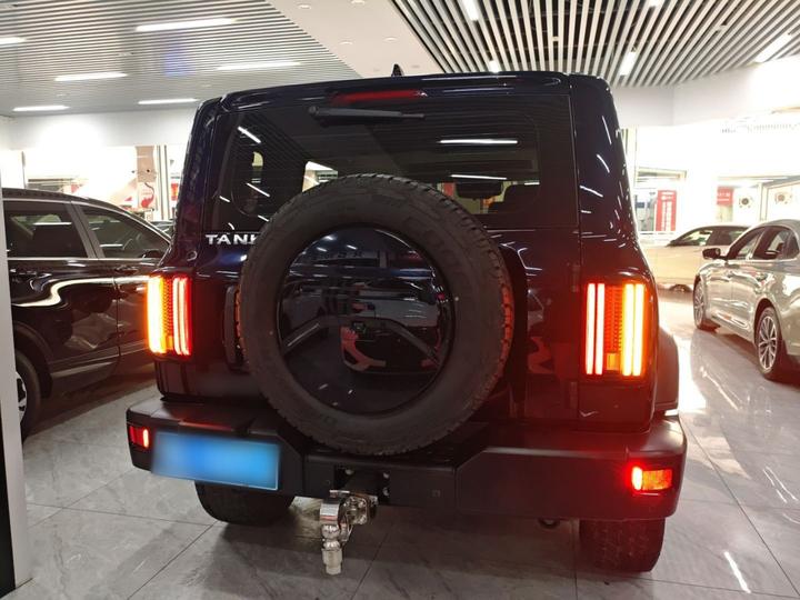 300 2023 Off-road 2.0T Conqueror photo 3
