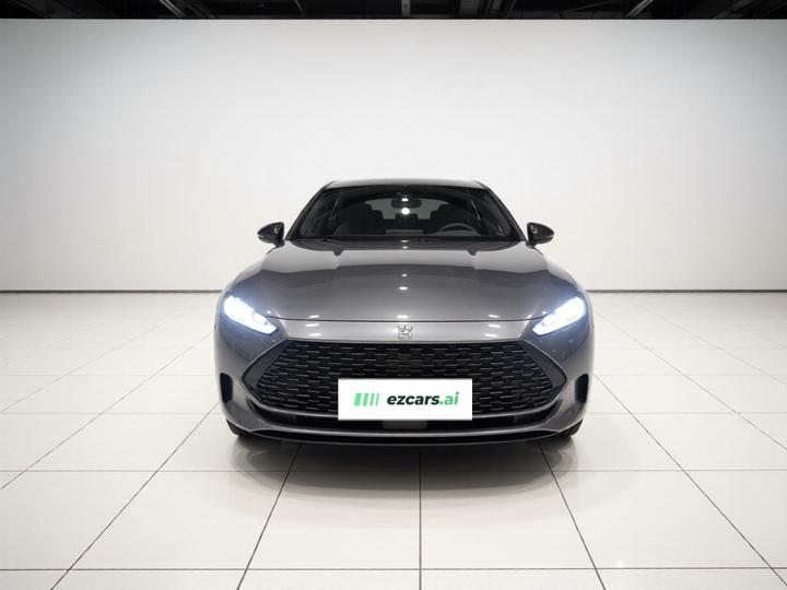 Qin PLUS 2023 Champion DM-i 55KM Leading photo 2