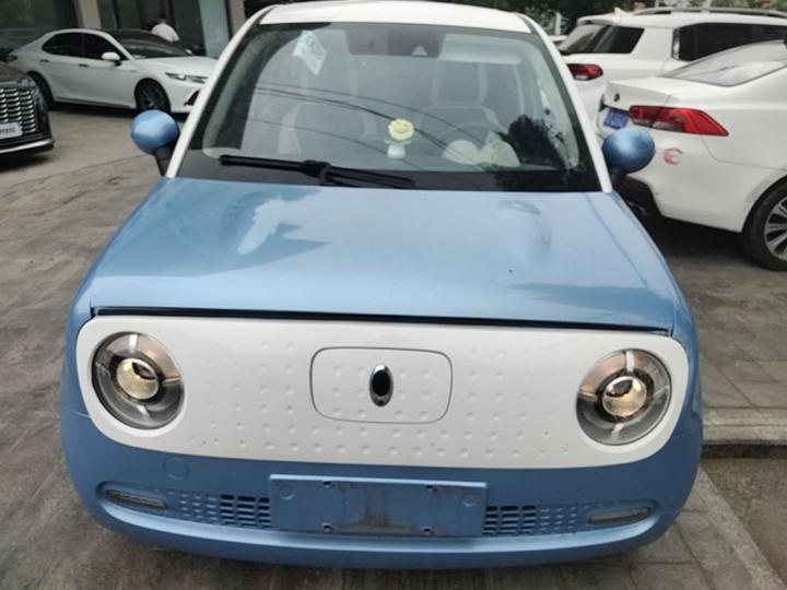 2019 351km photo 2