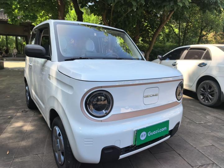 2023 Panda mini 200km Endurance Bear photo 3