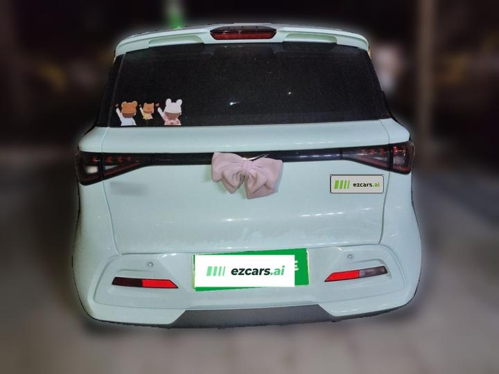 2025 Mate 300km LX photo 5