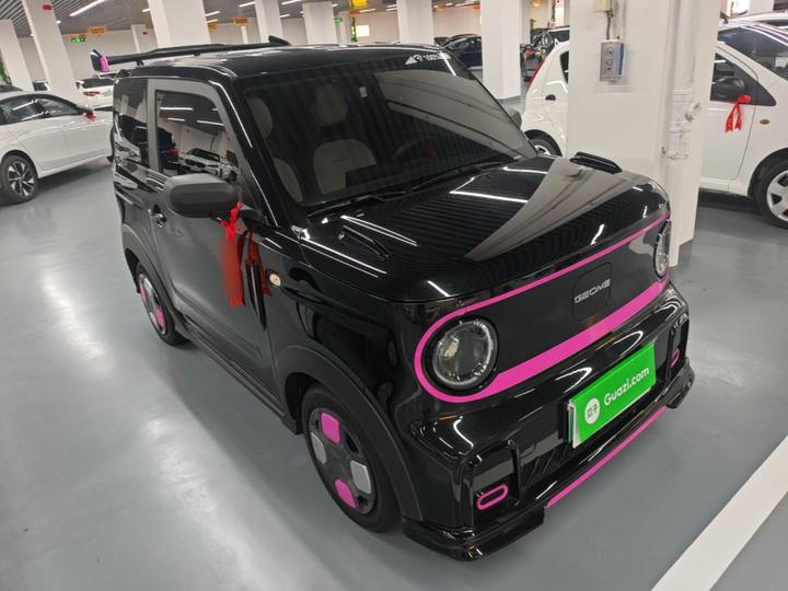 2025 210km Panda photo 3