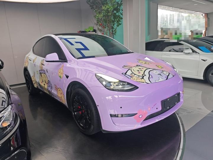 Model Y 2021 Standard Range RWD photo 3
