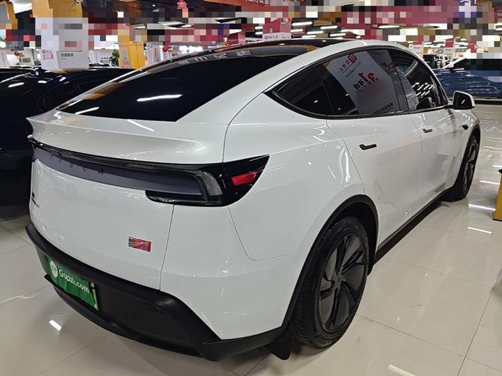 Model Y 2025 Long Range AWD photo 4