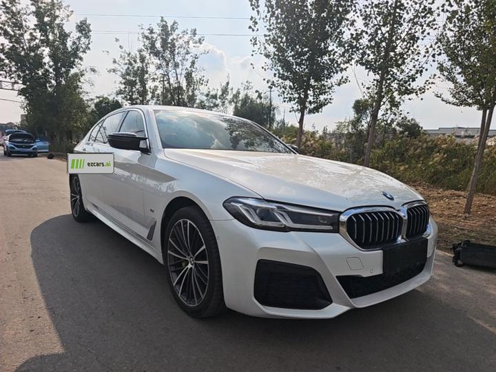 5 Series 2021 530Li Leading M Sport Package photo 3