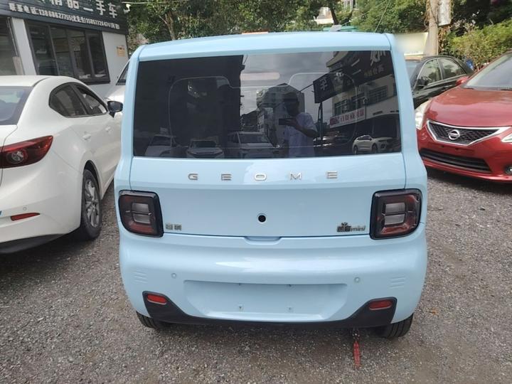 2023 Panda mini 200km Endurance Bear photo 5
