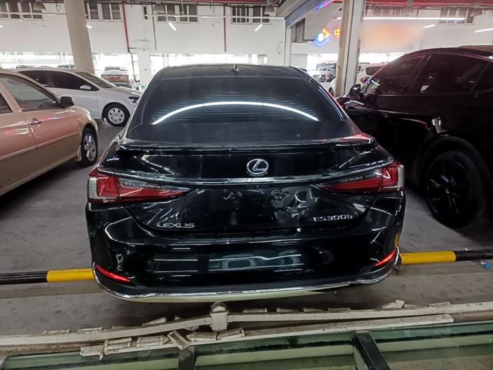 ES 2018 300h Exclusive China V photo 3