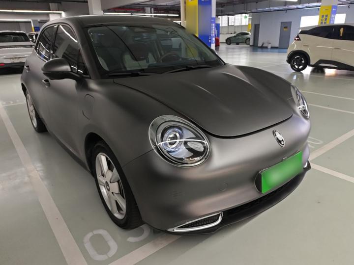 Good Cat 2023 401km Standard Range Luxury LFP photo 3