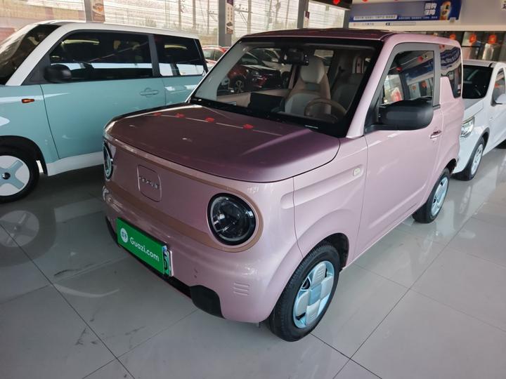 2024 Panda mini 200km Endurance Bear