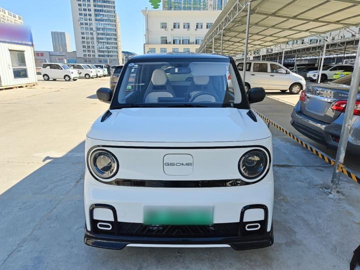 2025 210km Panda photo 2