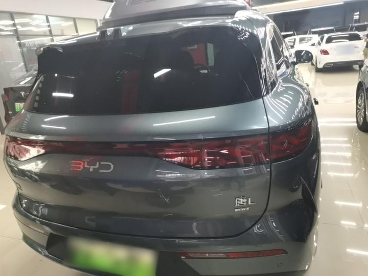 Tang L 2025 DM 175KM photo 3