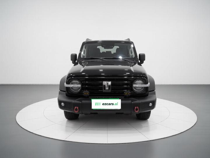 300 2024 2.0T Conqueror photo 2