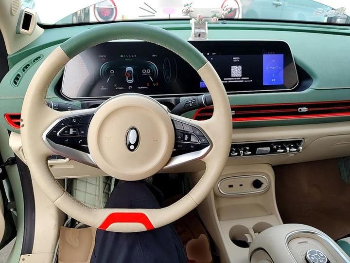 Good Cat 2023 401km Standard Range Noble LFP photo 6
