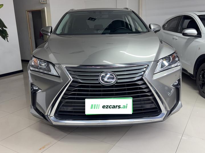 RX 2016 300 RWD Elite China V photo 3