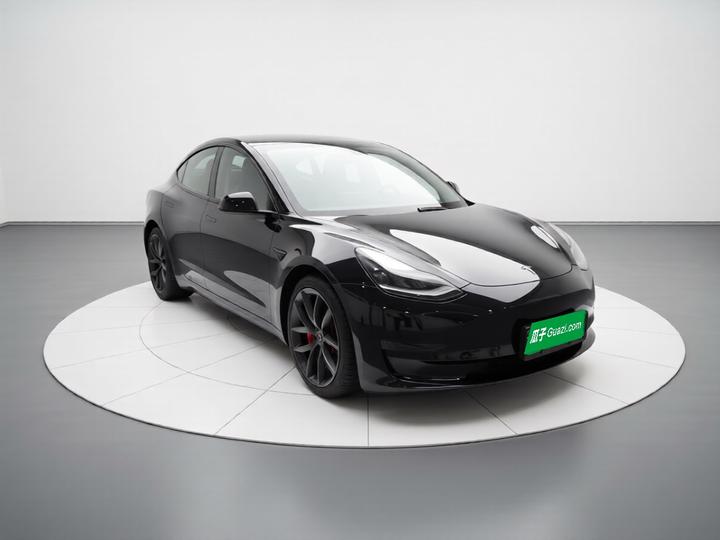 Model 3 2022 Performance AWD photo 3
