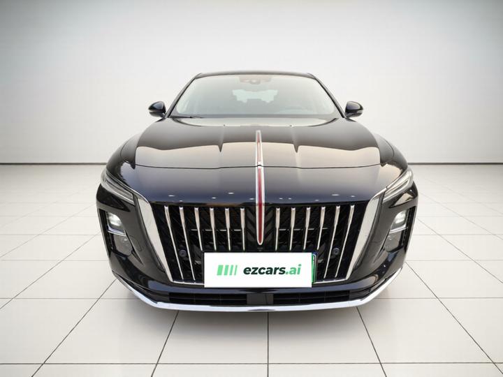 H5 PHEV 2025 130 photo 2