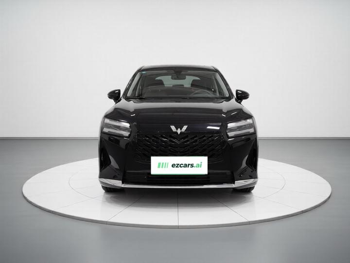 730 EV 2025 125km Luxury photo 2