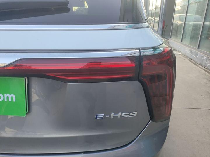 E-HS9 2021 510km 4-Seater photo 7