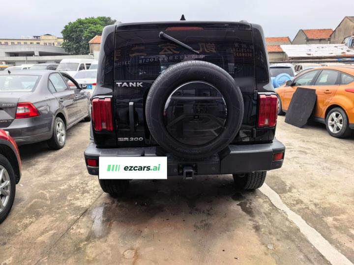 300 2023 Off-road 2.0T photo 3